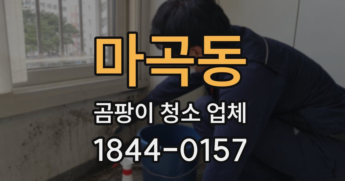 마곡동 곰팡이 청소 업체