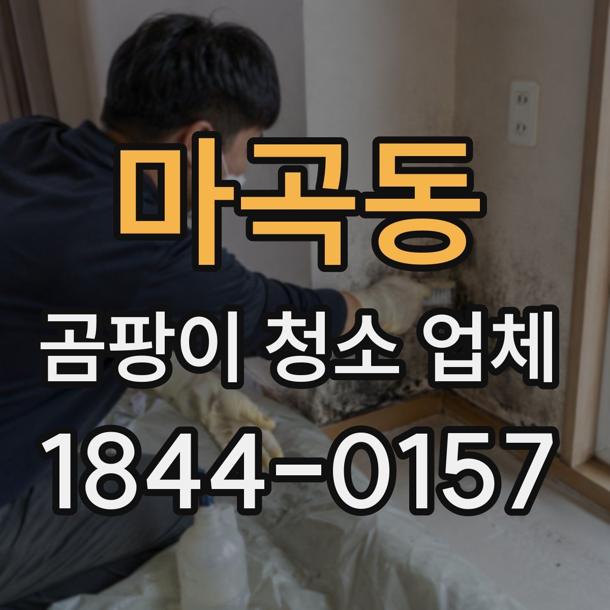마곡동 곰팡이 청소 업체
