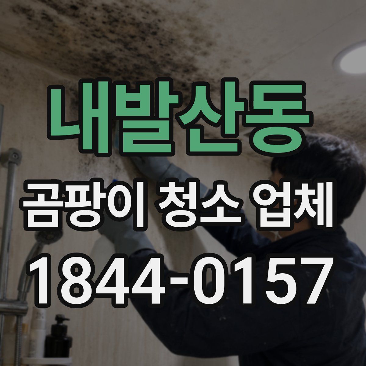 내발산동 곰팡이 청소 업체