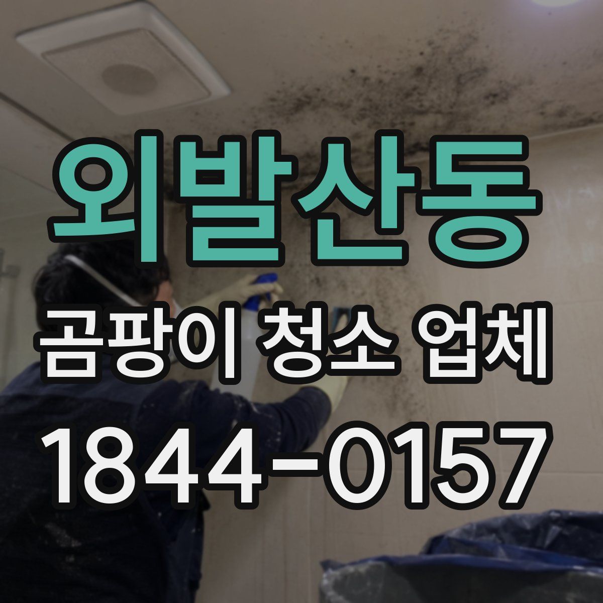 외발산동 곰팡이 청소 업체