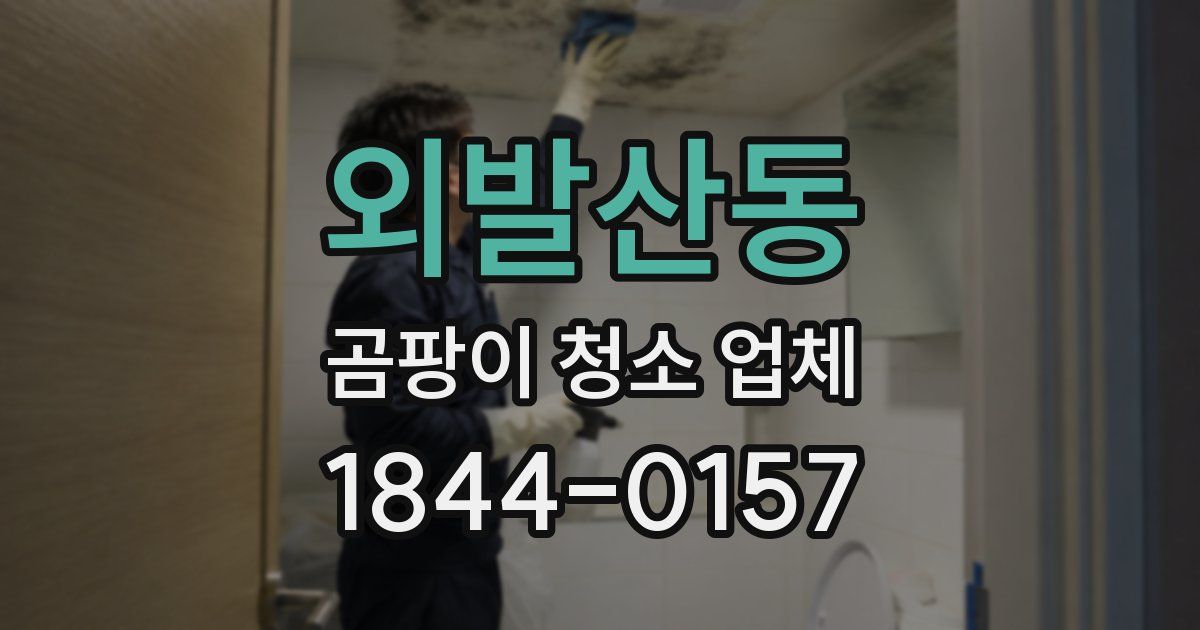 외발산동 곰팡이 청소 업체