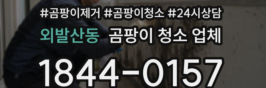 외발산동 곰팡이 청소 업체