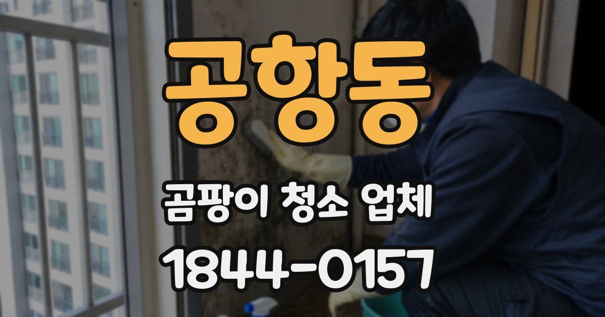 공항동 곰팡이 청소 업체