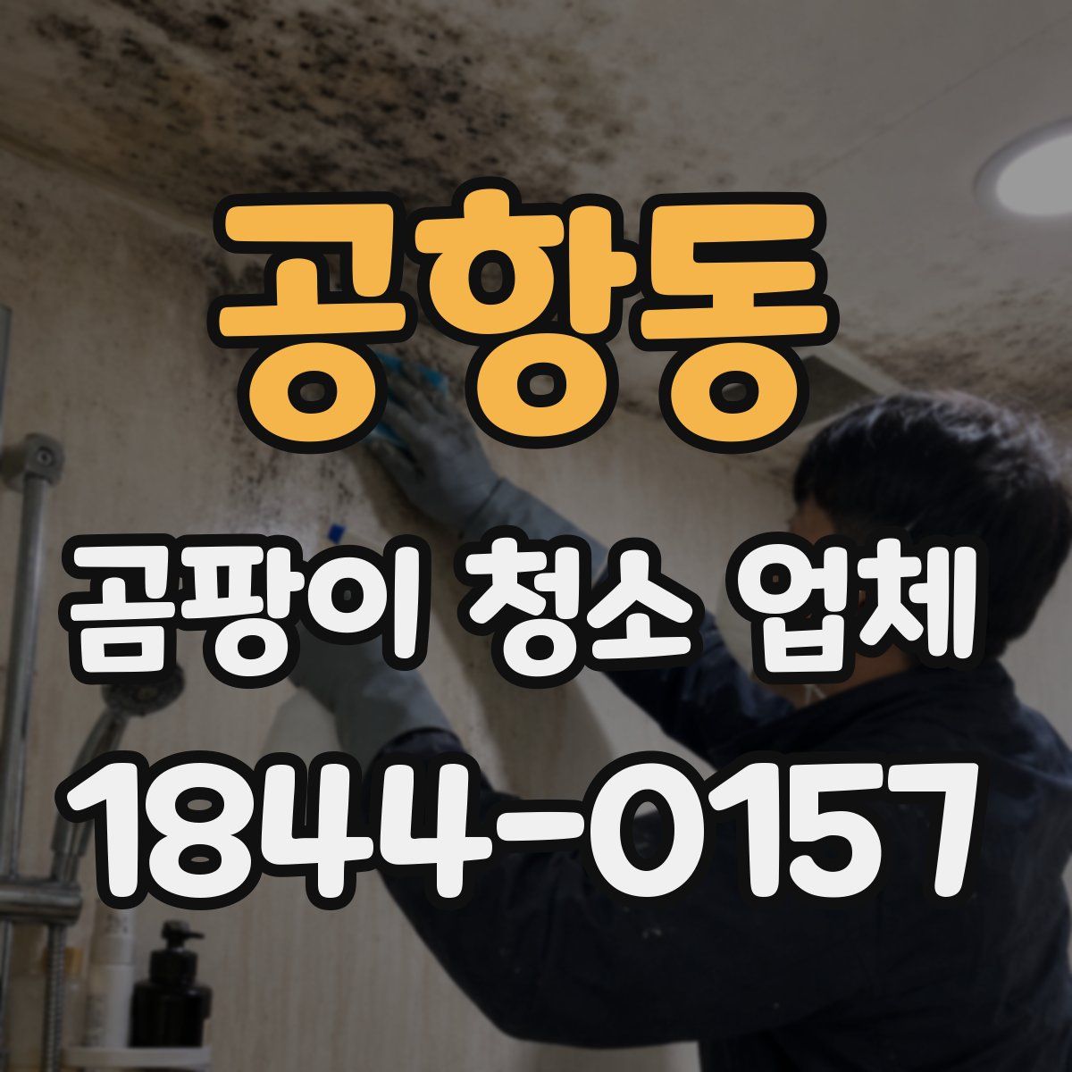 공항동 곰팡이 청소 업체
