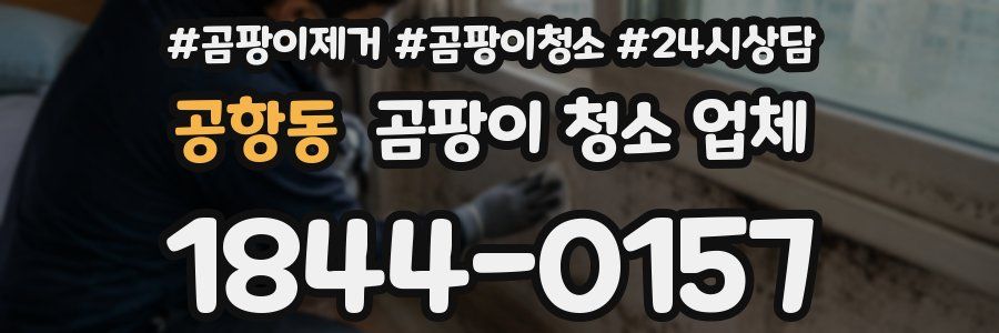 공항동 곰팡이 청소 업체