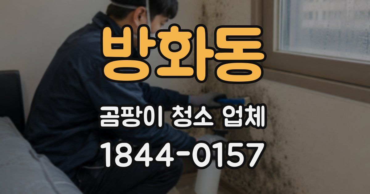 방화동 곰팡이 청소 업체