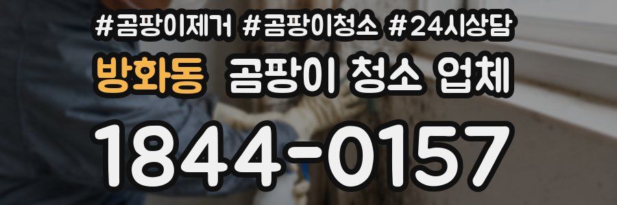 방화동 곰팡이 청소 업체
