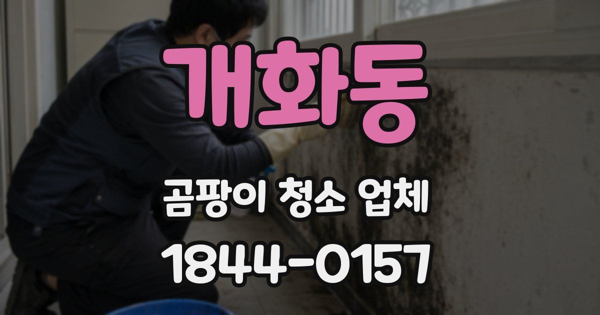 개화동 곰팡이 청소 업체