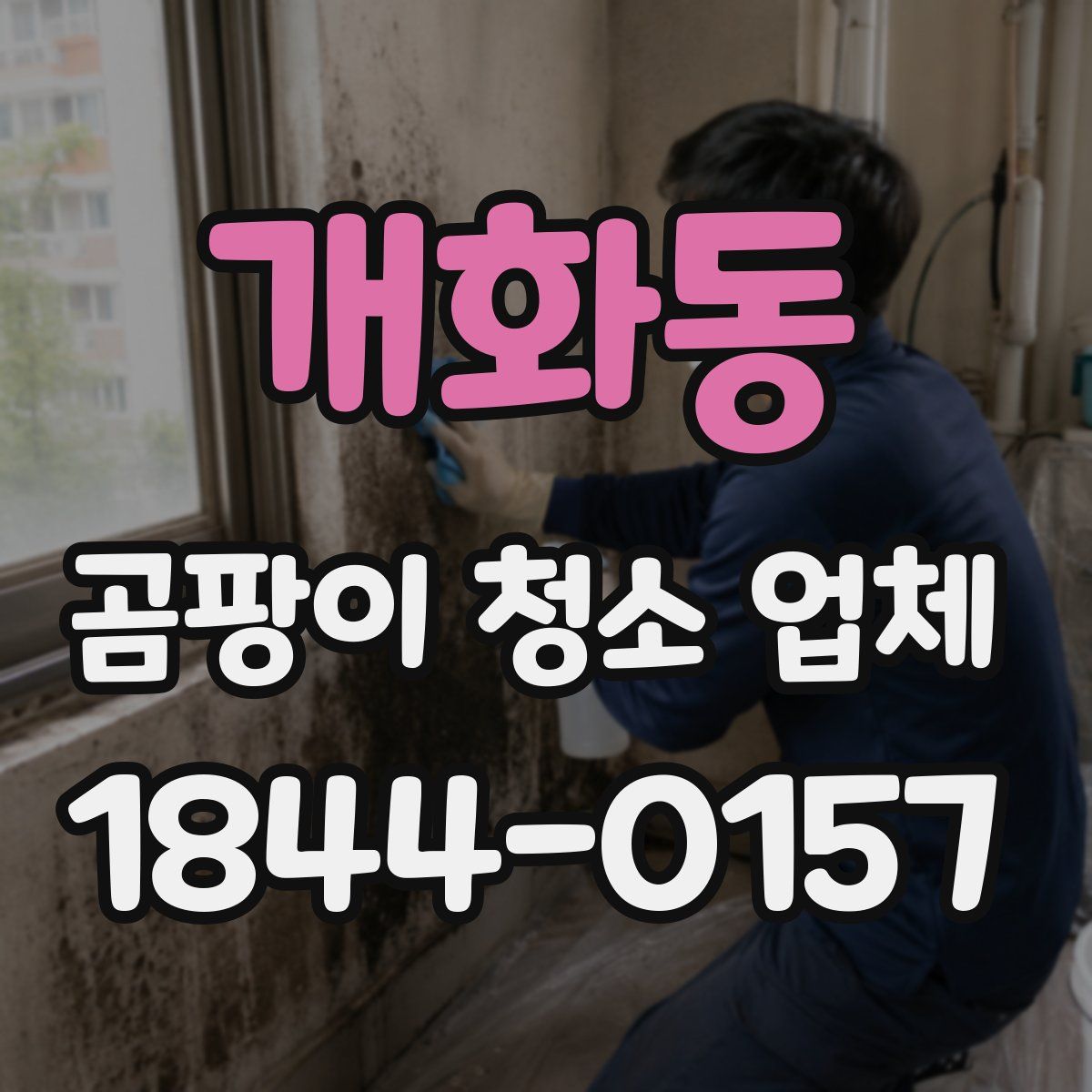 개화동 곰팡이 청소 업체