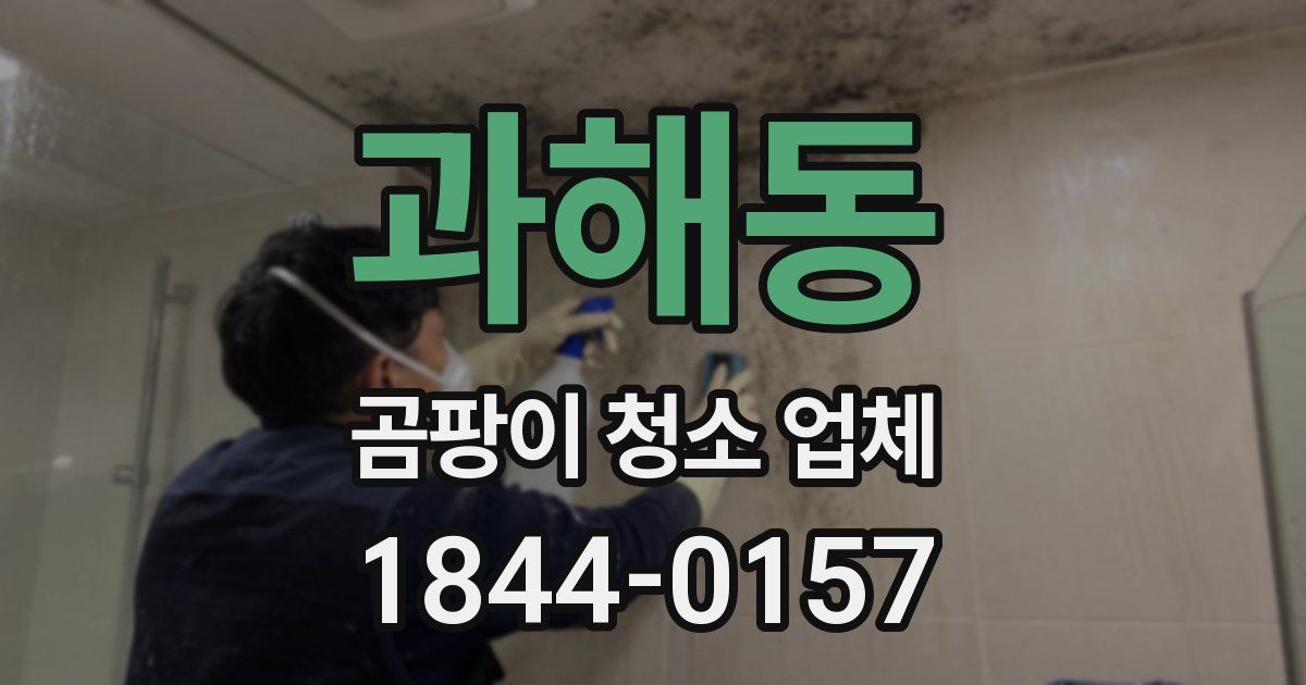 과해동 곰팡이 청소 업체