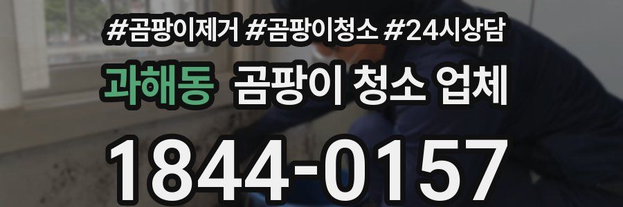과해동 곰팡이 청소 업체
