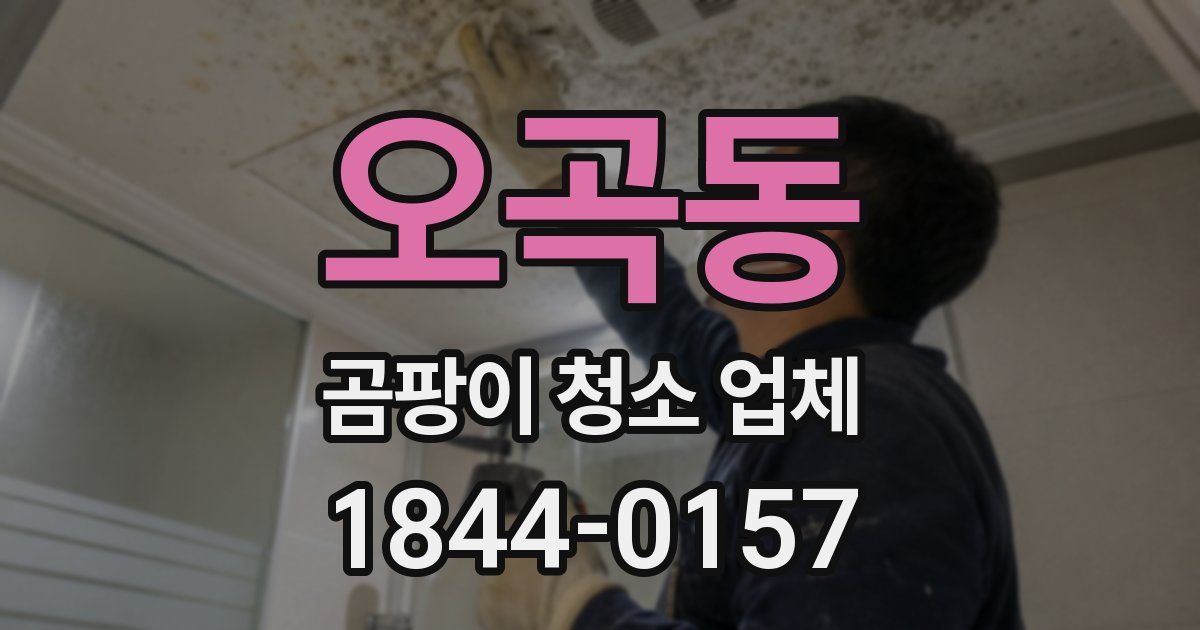 오곡동 곰팡이 청소 업체