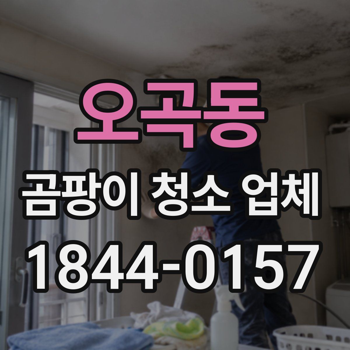 오곡동 곰팡이 청소 업체