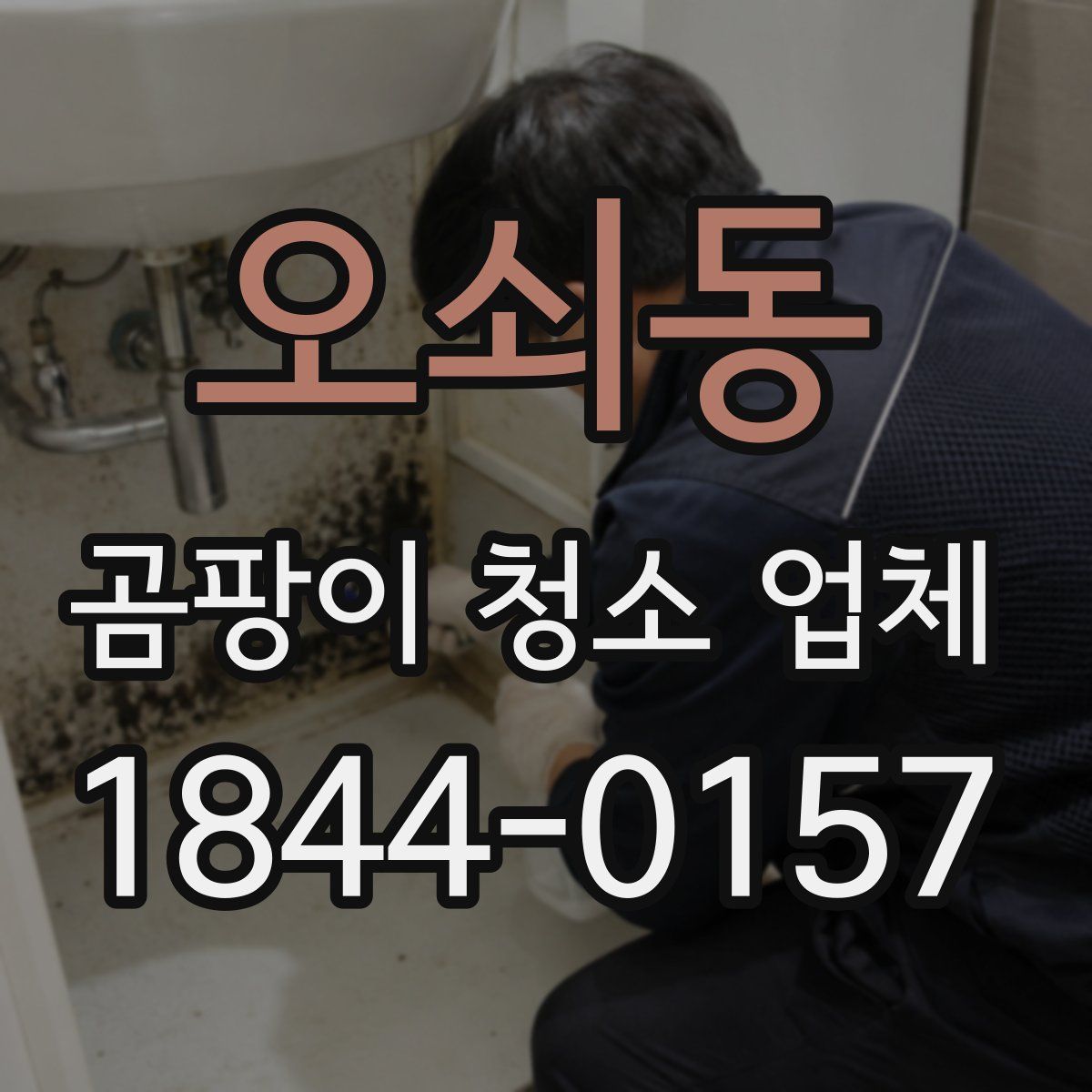 오쇠동 곰팡이 청소 업체