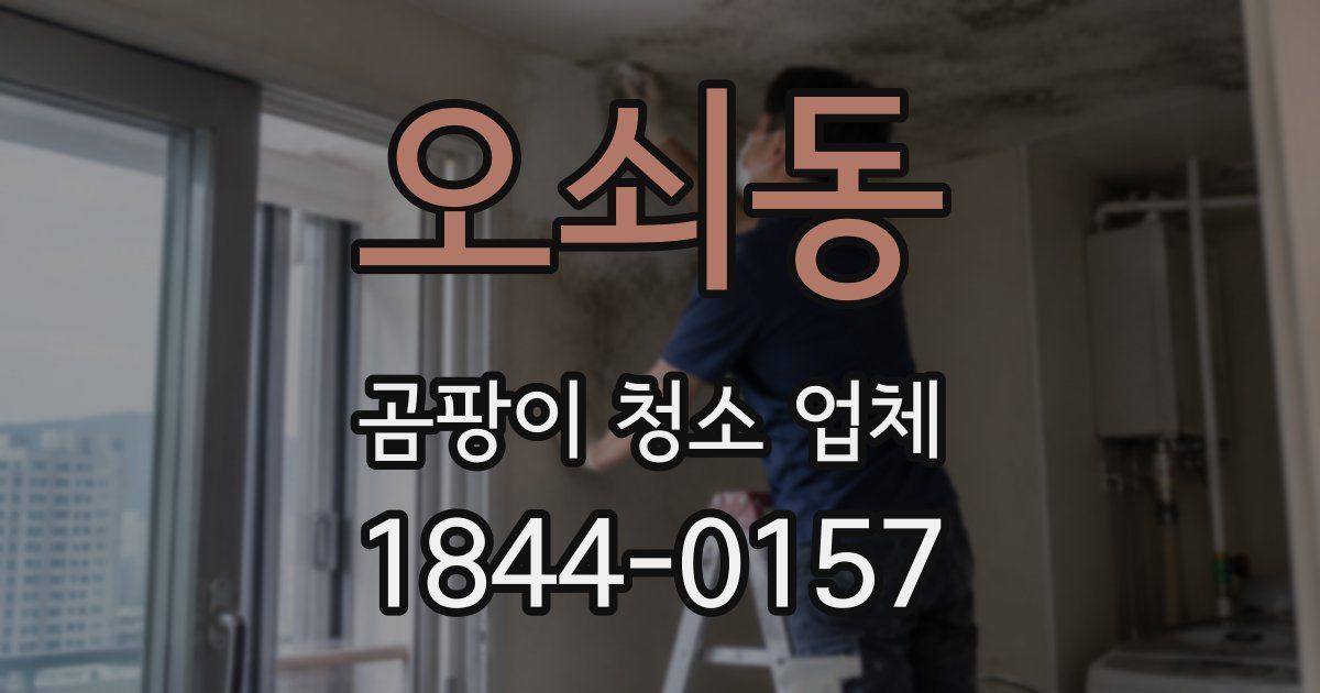 오쇠동 곰팡이 청소 업체