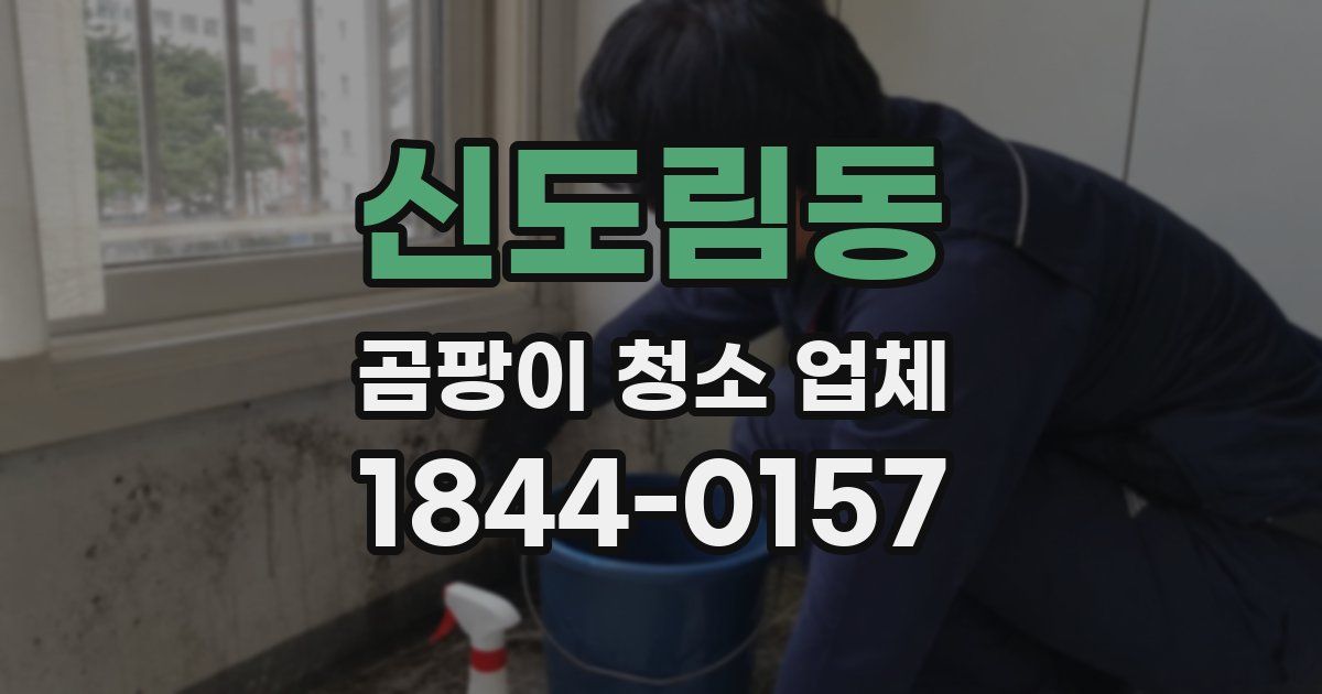 신도림동 곰팡이 청소 업체