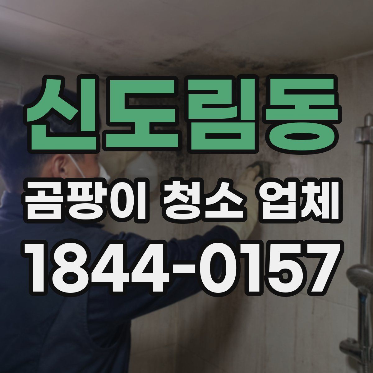 신도림동 곰팡이 청소 업체