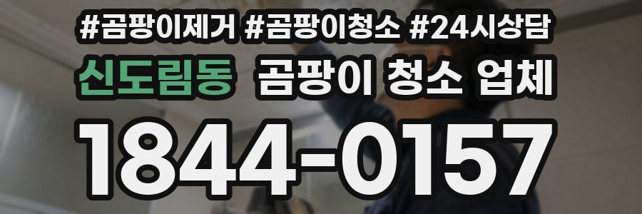 신도림동 곰팡이 청소 업체