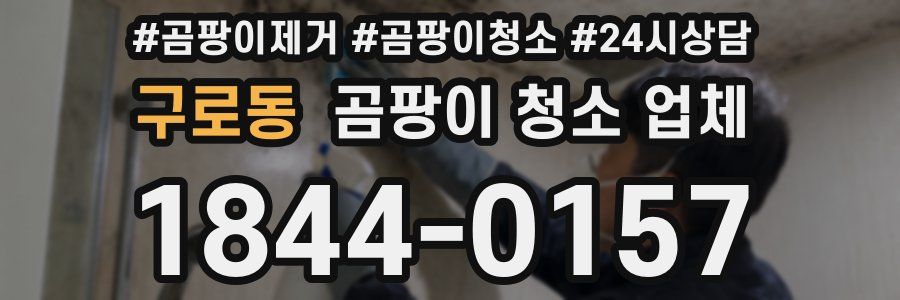 구로동 곰팡이 청소 업체