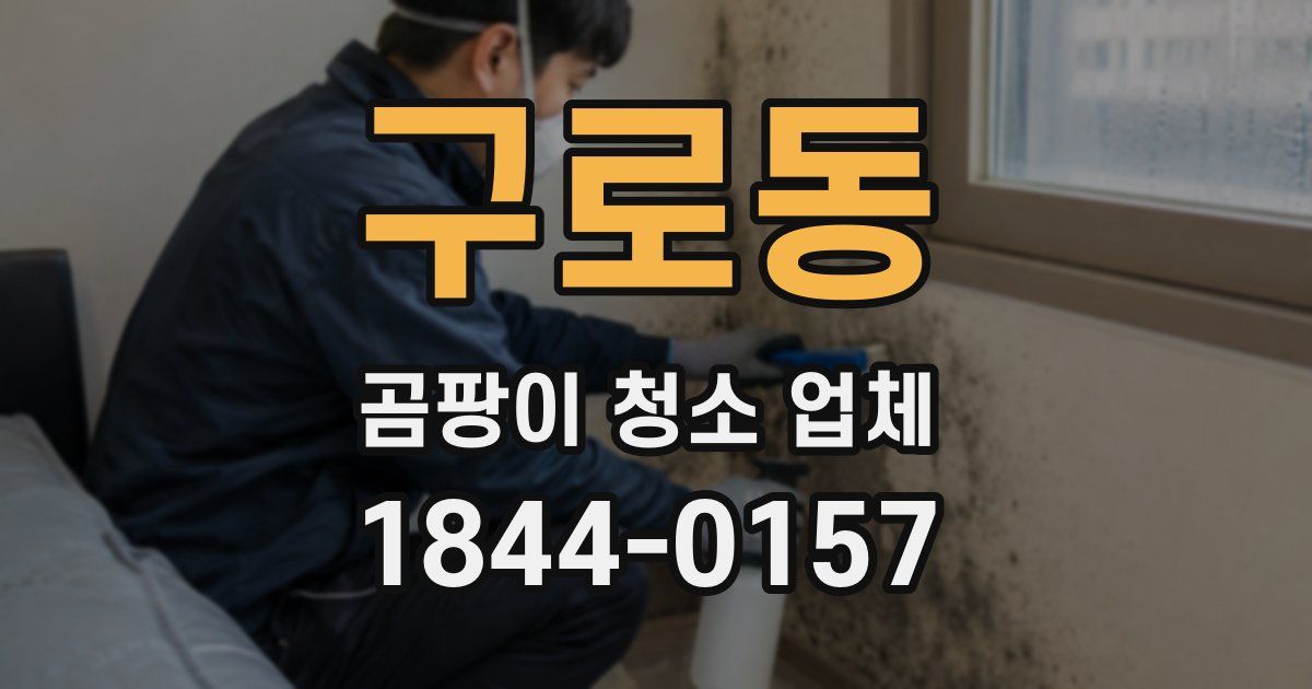 구로동 곰팡이 청소 업체