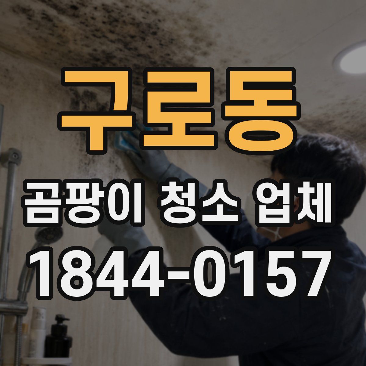 구로동 곰팡이 청소 업체