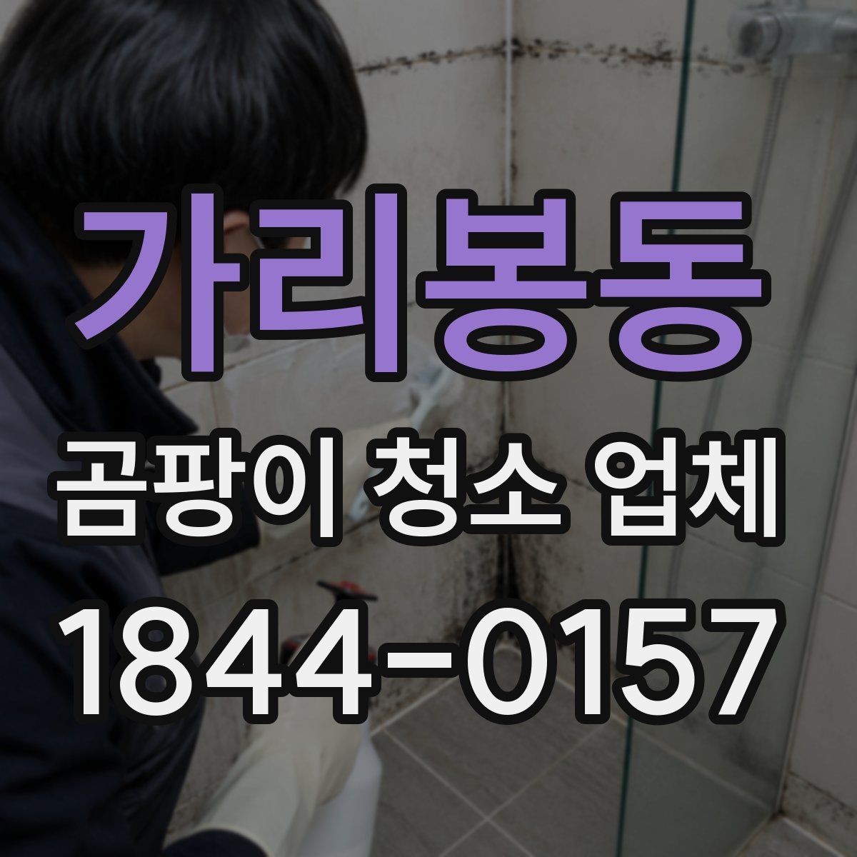 가리봉동 곰팡이 청소 업체