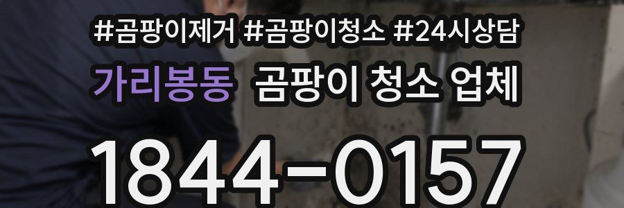 가리봉동 곰팡이 청소 업체