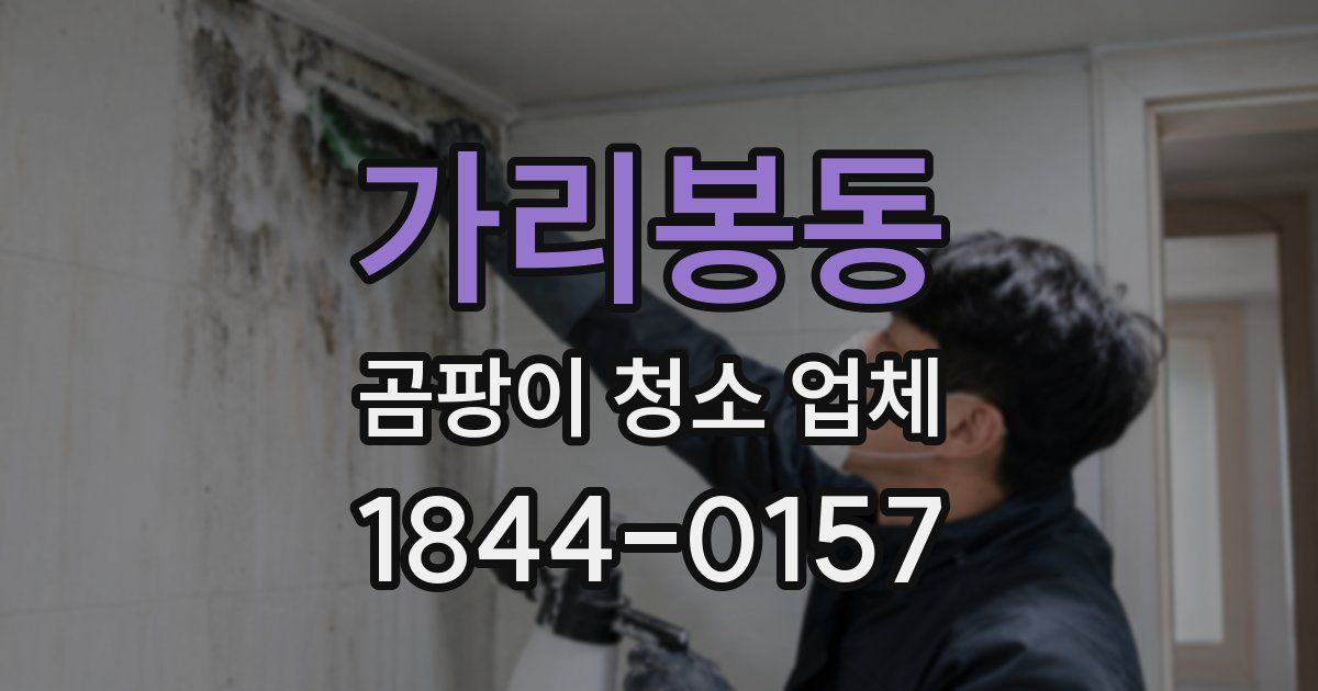 가리봉동 곰팡이 청소 업체