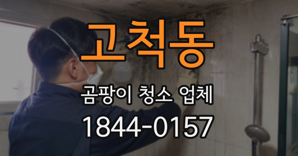 고척동 곰팡이 청소 업체