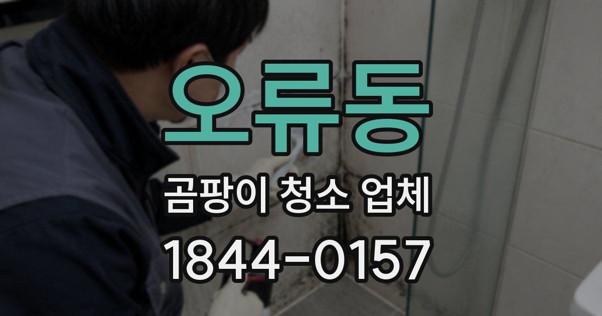 오류동 곰팡이 청소 업체