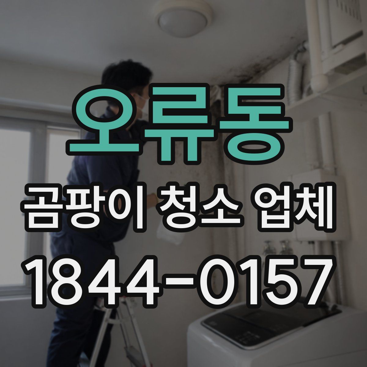 오류동 곰팡이 청소 업체