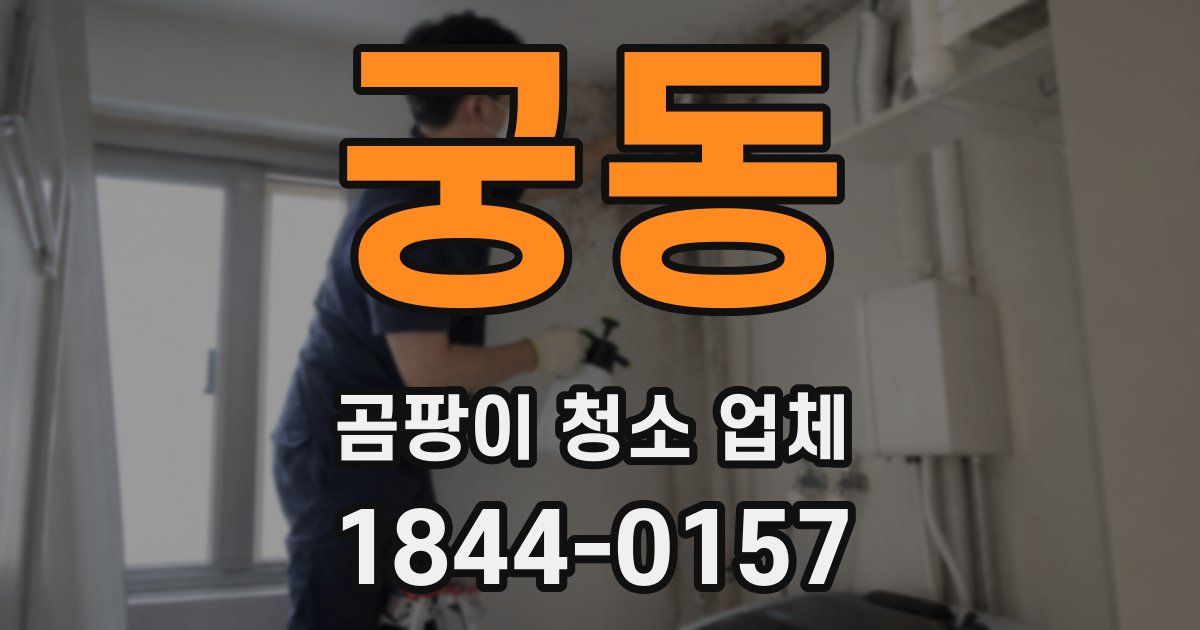 궁동 곰팡이 청소 업체