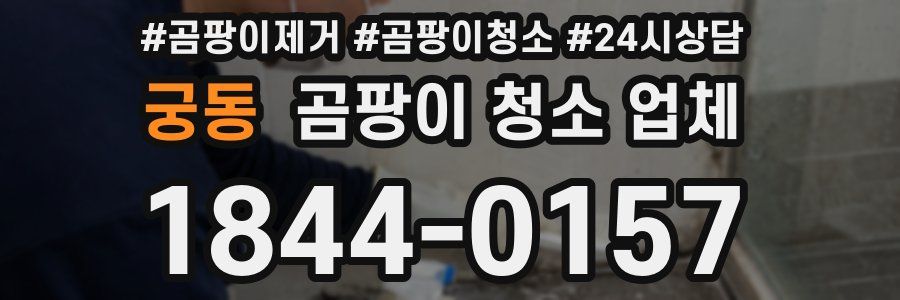궁동 곰팡이 청소 업체