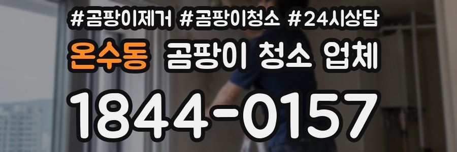 온수동 곰팡이 청소 업체