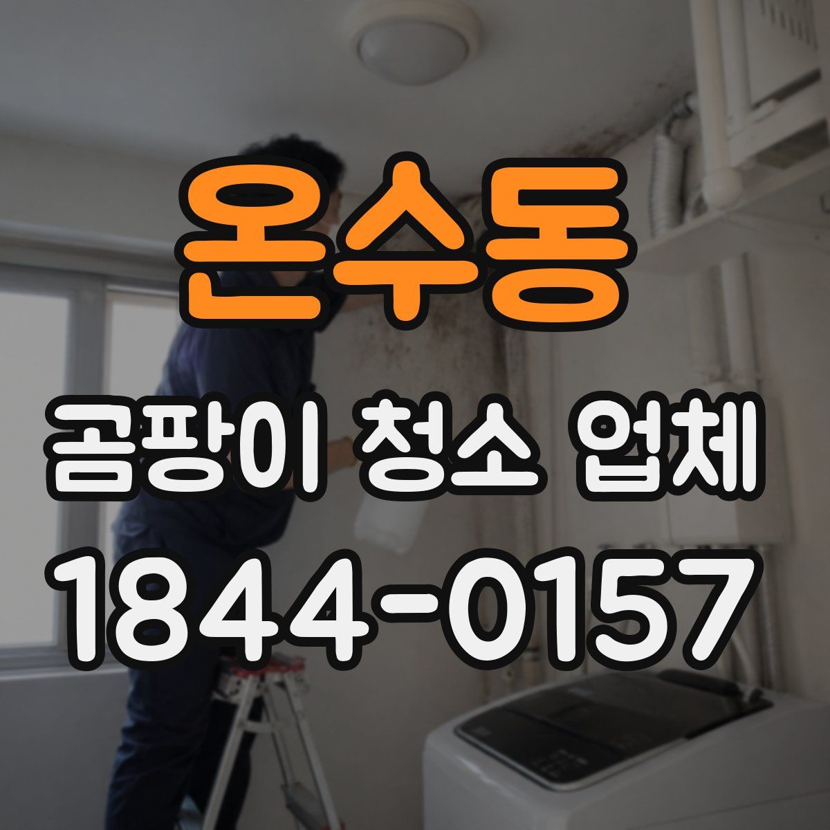 온수동 곰팡이 청소 업체