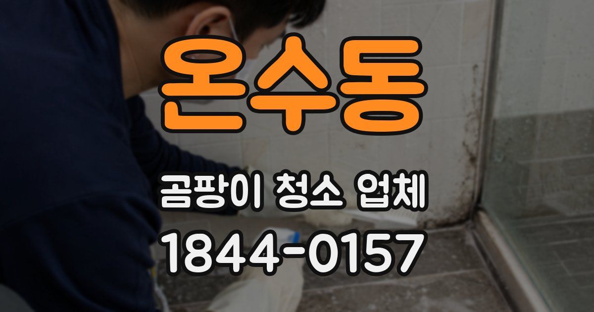 온수동 곰팡이 청소 업체