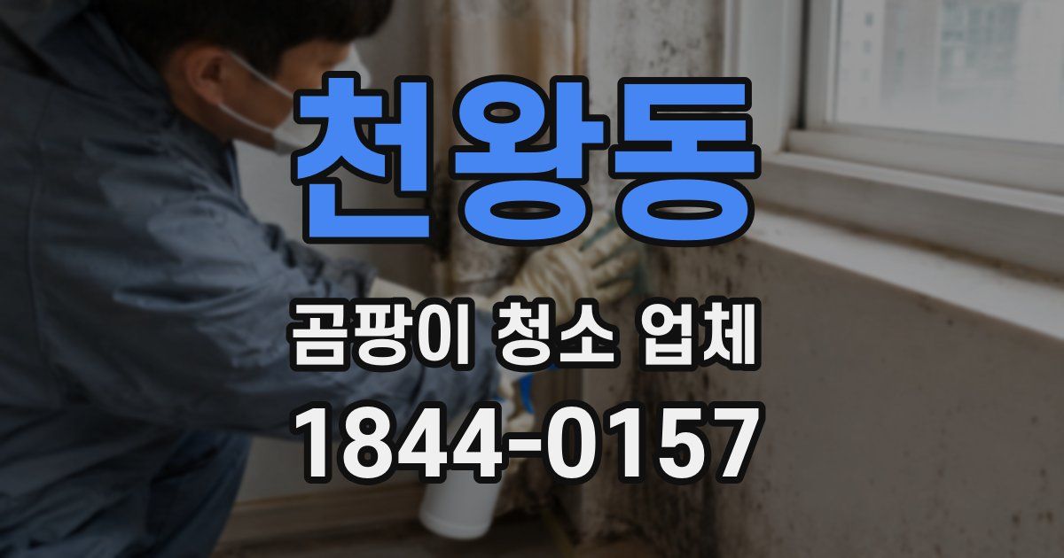 천왕동 곰팡이 청소 업체