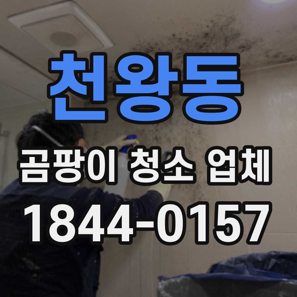 천왕동 곰팡이 청소 업체