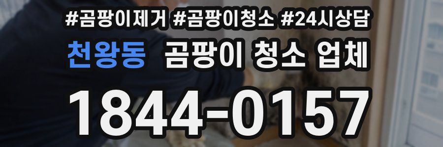 천왕동 곰팡이 청소 업체