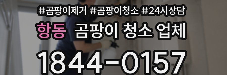 항동 곰팡이 청소 업체