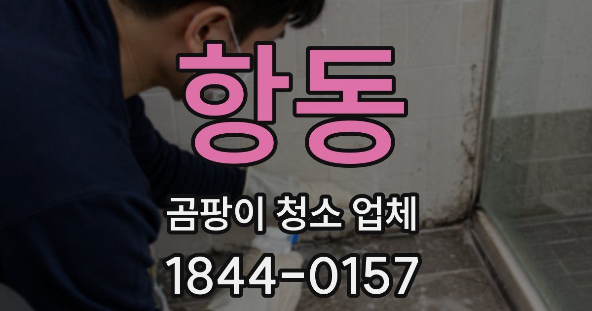 항동 곰팡이 청소 업체