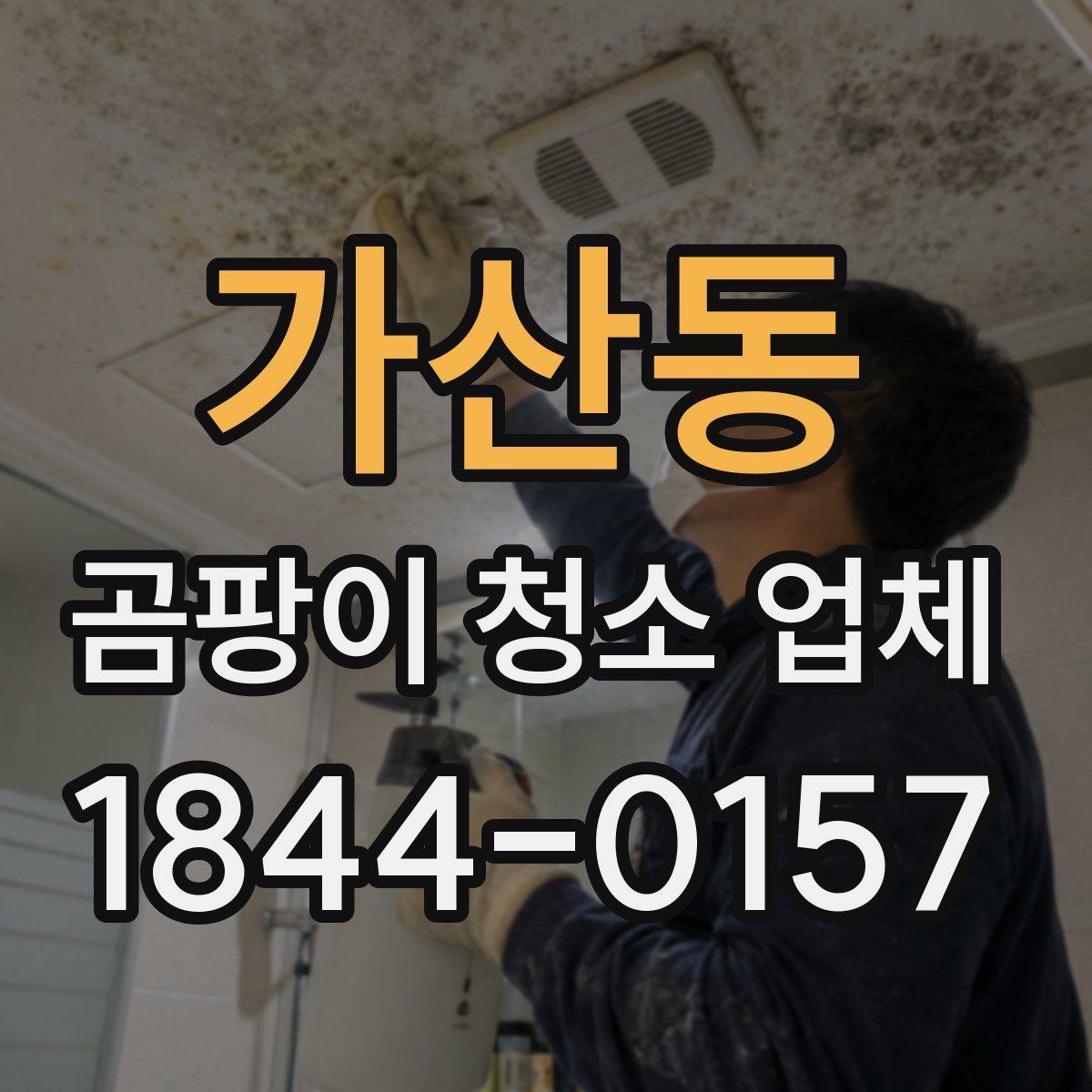 가산동 곰팡이 청소 업체