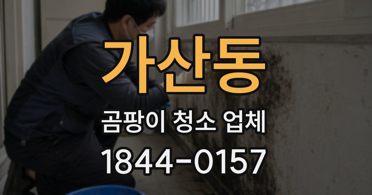 가산동 곰팡이 청소 업체