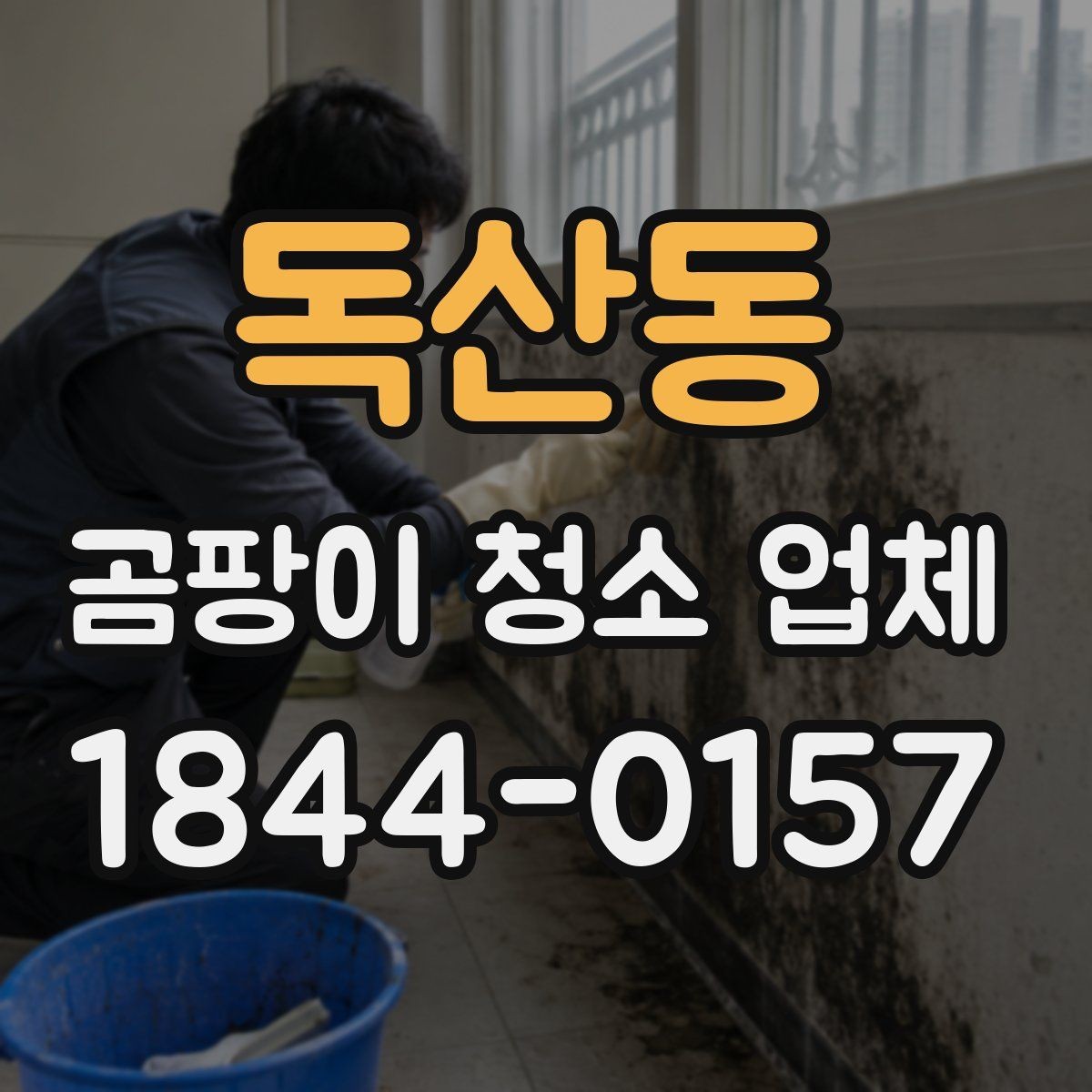 독산동 곰팡이 청소 업체 아이와 함께 사는 집에서 살필 부분