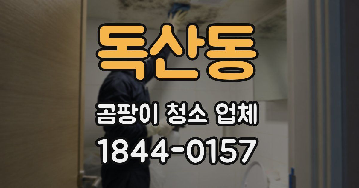독산동 곰팡이 청소 업체