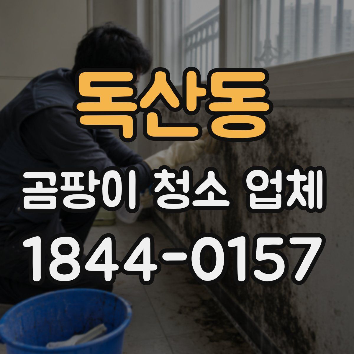 독산동 곰팡이 청소 업체