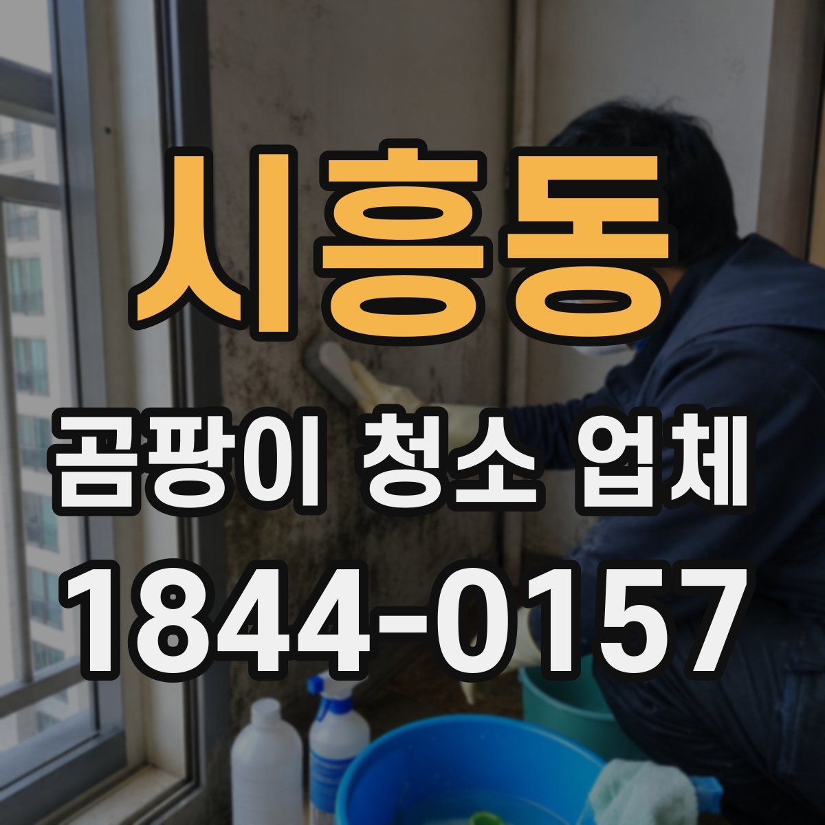 시흥동 곰팡이 청소 업체