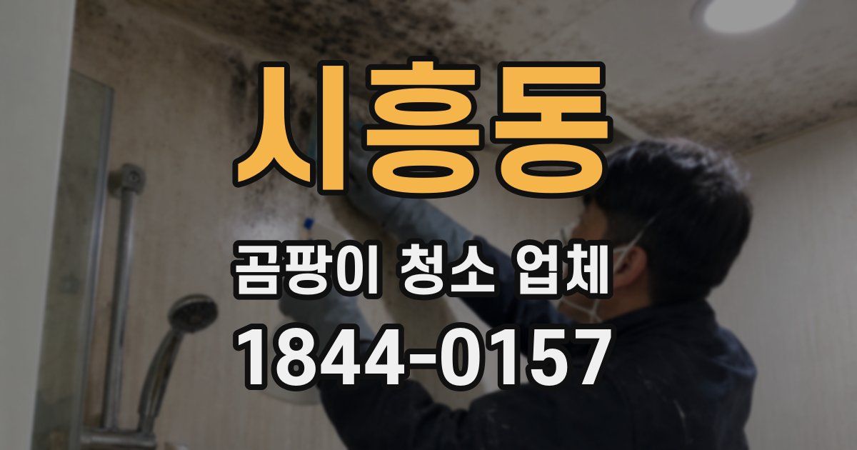 시흥동 곰팡이 청소 업체