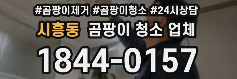 시흥동 곰팡이 청소 업체