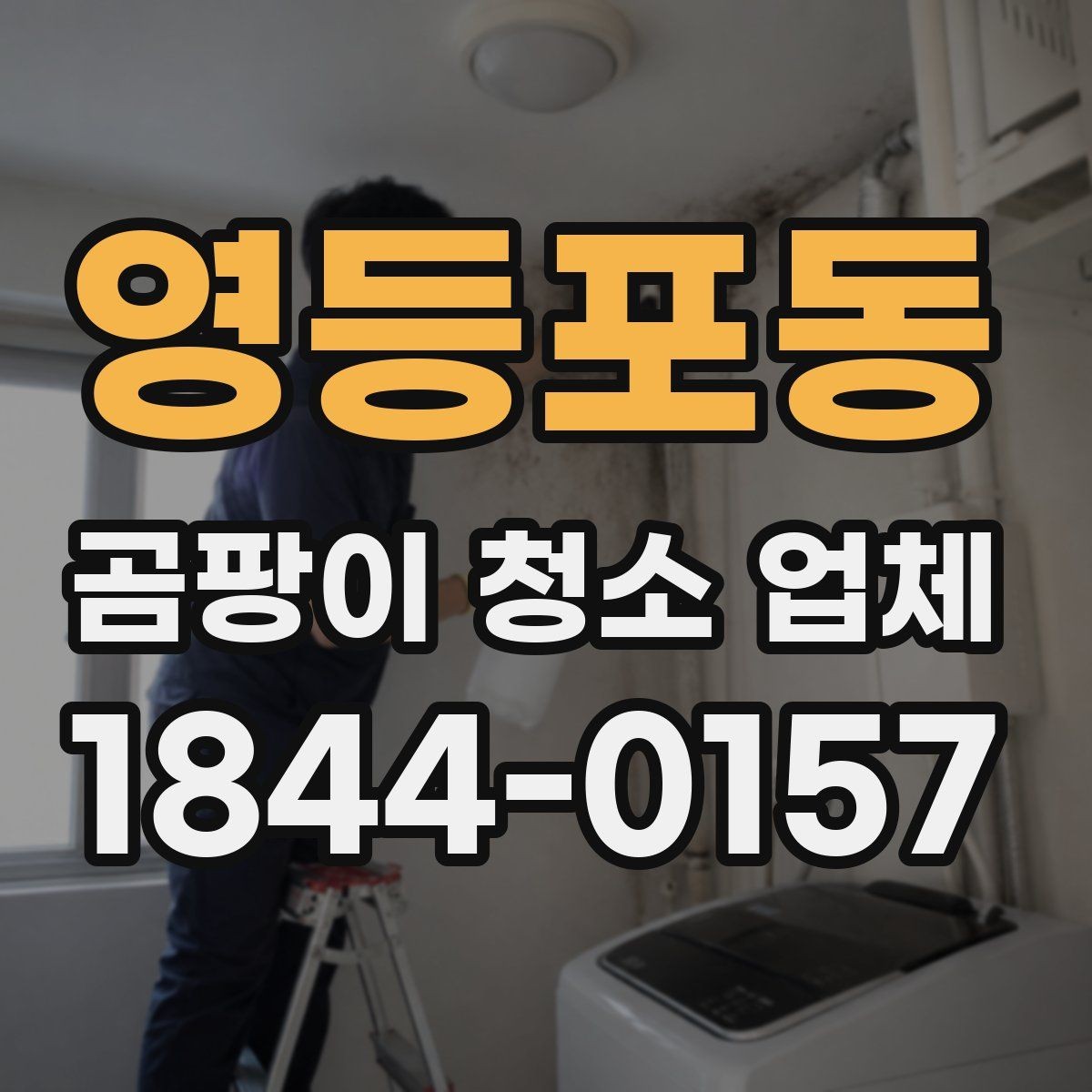 영등포동 곰팡이 청소 업체 현장 진단으로 보는 오염 깊이